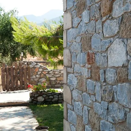 Agios Nikolaos Olive House Holiday home Riglia