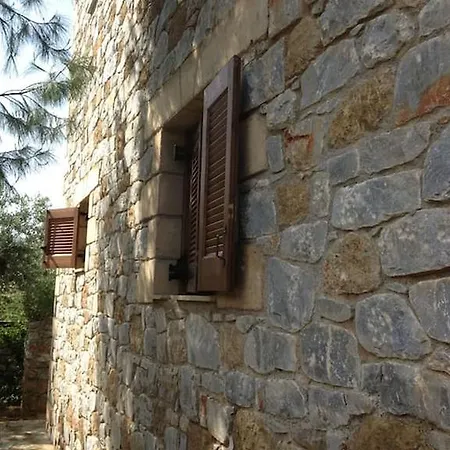 Agios Nikolaos Olive House