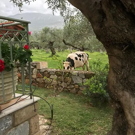 Agios Nikolaos Olive House Сasa de vacaciones Riglia